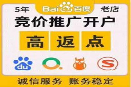 搜索引擎营销（SEM）的创意与执行——以多个行业成功案例为教学